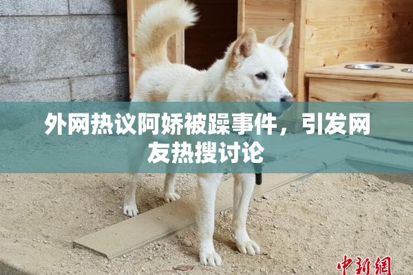 外网热议阿娇被躁事件，引发网友热搜讨论