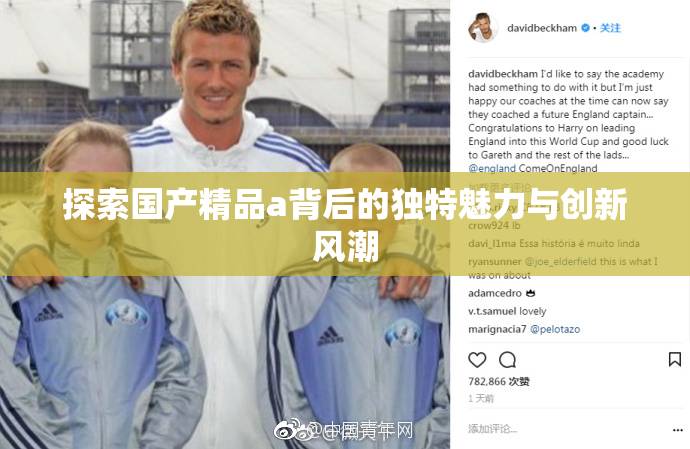 探索国产精品a背后的独特魅力与创新风潮