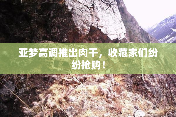亚梦高调推出肉干，收藏家们纷纷抢购！