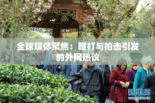 全球媒体聚焦：鞭打与拍击引发的外网热议