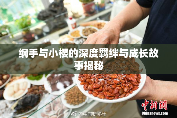 纲手与小樱的深度羁绊与成长故事揭秘
