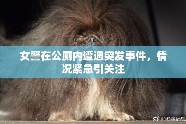 女警在公厕内遭遇突发事件，情况紧急引关注