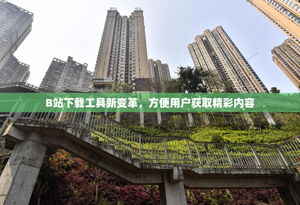B站下载工具新变革，方便用户获取精彩内容