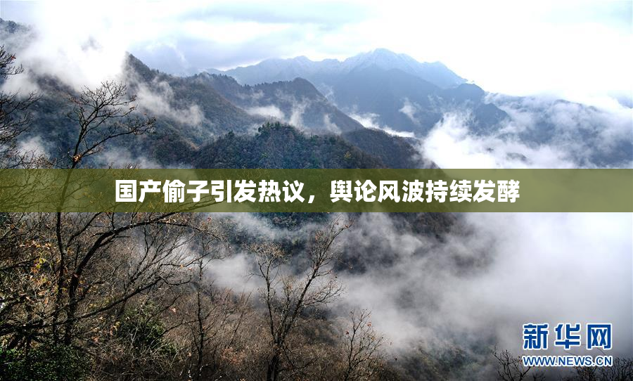 国产偷子引发热议，舆论风波持续发酵