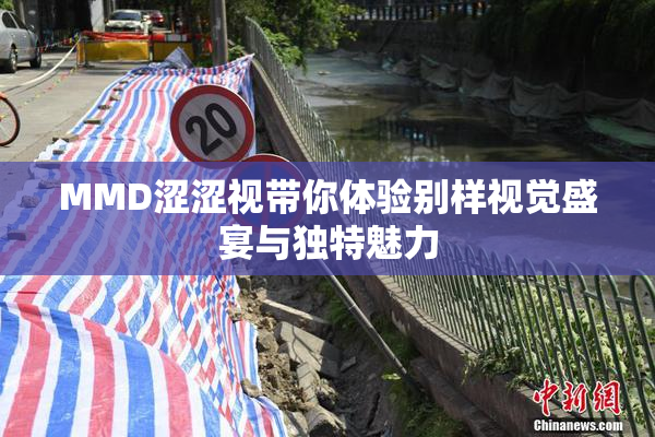 MMD涩涩视带你体验别样视觉盛宴与独特魅力