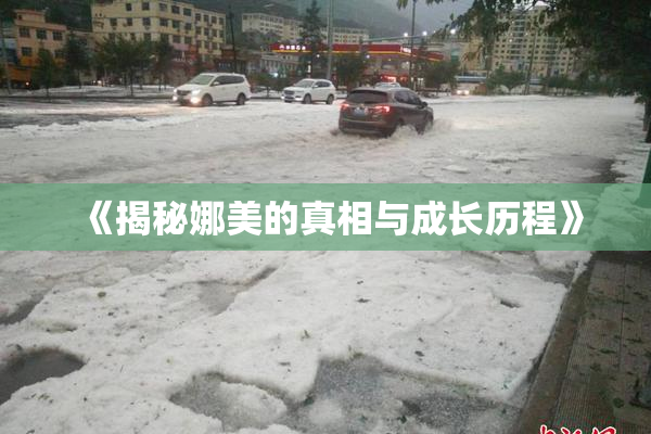 《揭秘娜美的真相与成长历程》