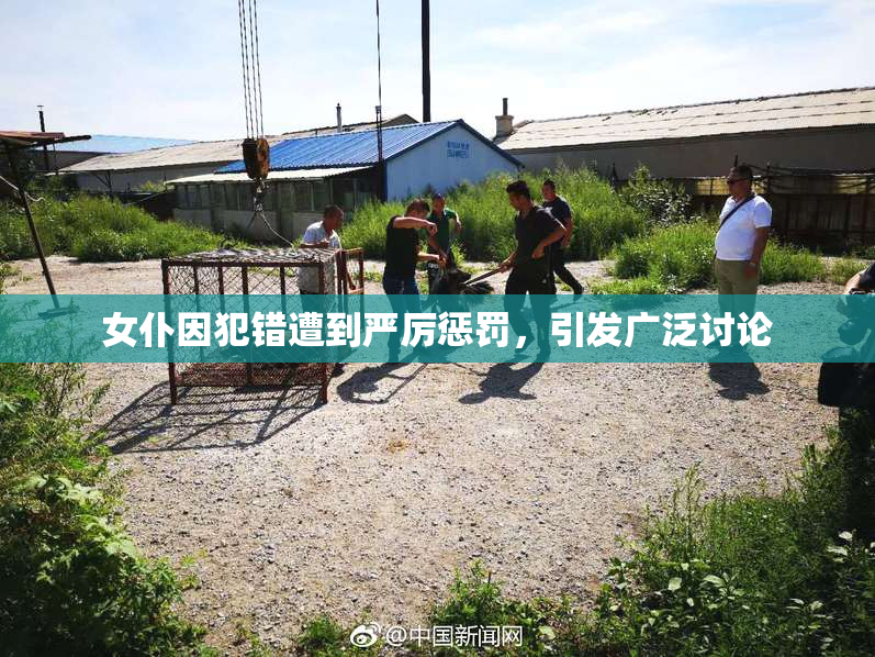 女仆因犯错遭到严厉惩罚，引发广泛讨论