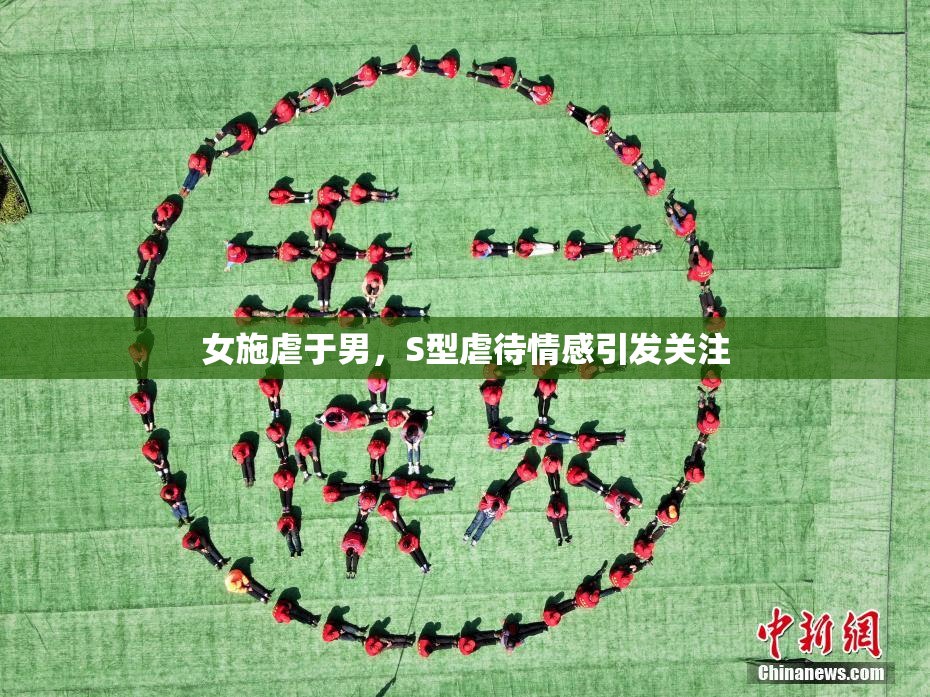 女施虐于男，S型虐待情感引发关注