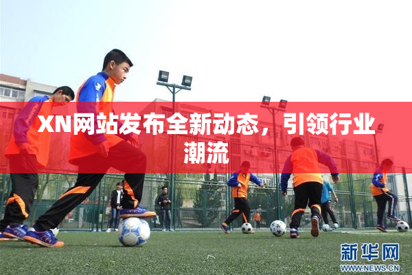 XN网站发布全新动态，引领行业潮流