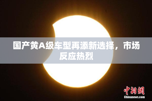国产黄A级车型再添新选择，市场反应热烈