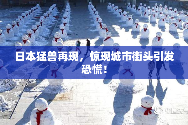 日本猛兽再现，惊现城市街头引发恐慌！