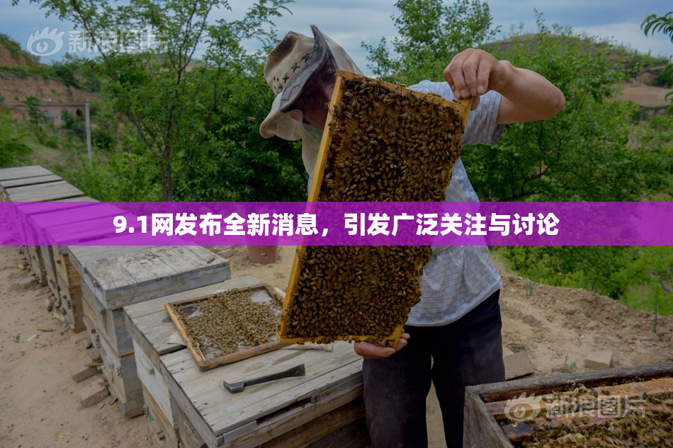 9.1网发布全新消息，引发广泛关注与讨论