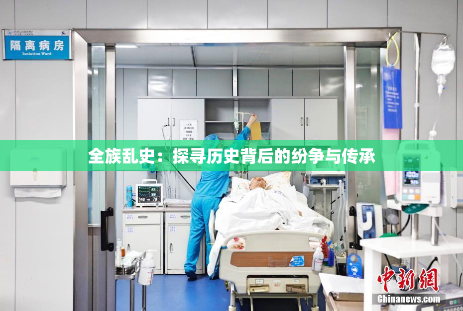 全族乱史：探寻历史背后的纷争与传承