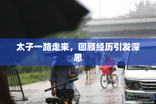 太子一路走来，回顾经历引发深思