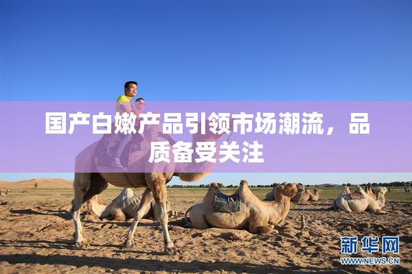 国产白嫩产品引领市场潮流，品质备受关注