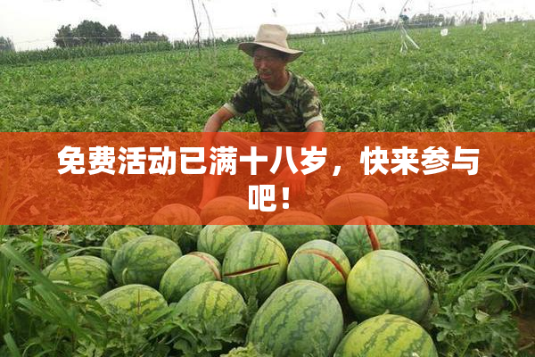 免费活动已满十八岁，快来参与吧！
