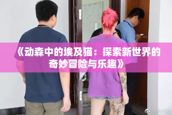 《动森中的埃及猫：探索新世界的奇妙冒险与乐趣》