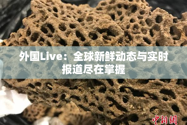 外国Live：全球新鲜动态与实时报道尽在掌握