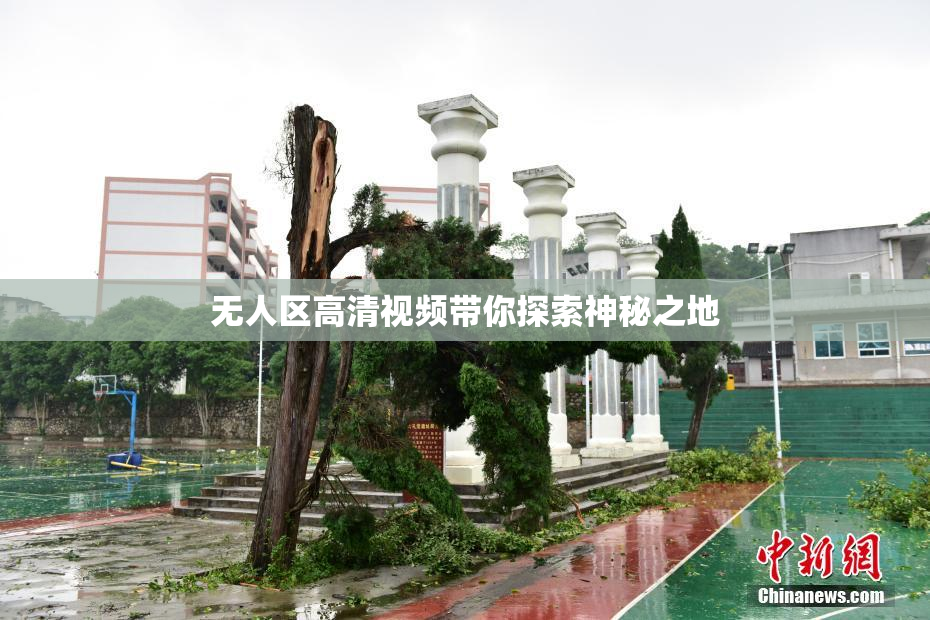 无人区高清视频带你探索神秘之地