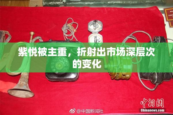 紫悦被主重，折射出市场深层次的变化