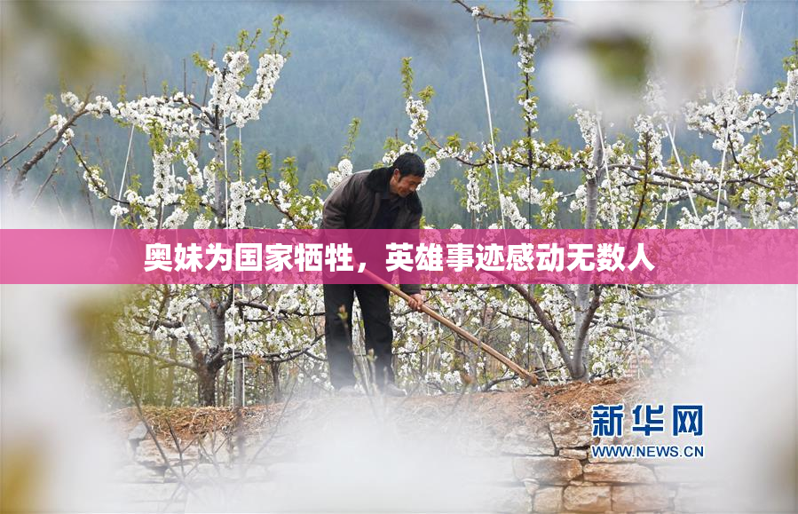 奥妹为国家牺牲，英雄事迹感动无数人