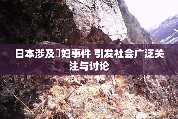 日本涉及婬妇事件 引发社会广泛关注与讨论