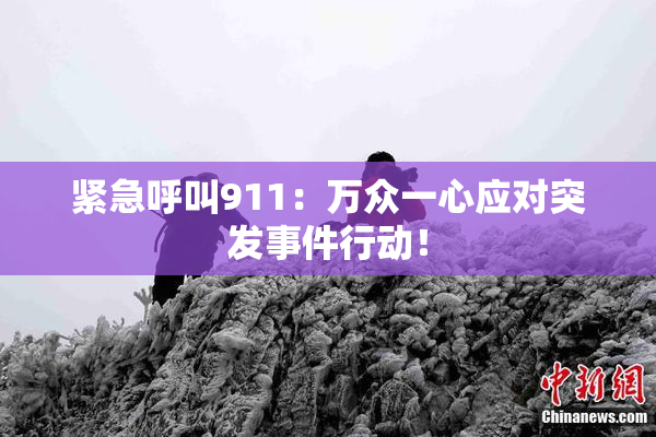 紧急呼叫911：万众一心应对突发事件行动！