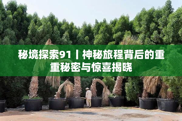 秘境探索91丨神秘旅程背后的重重秘密与惊喜揭晓