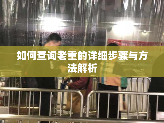 如何查询老重的详细步骤与方法解析