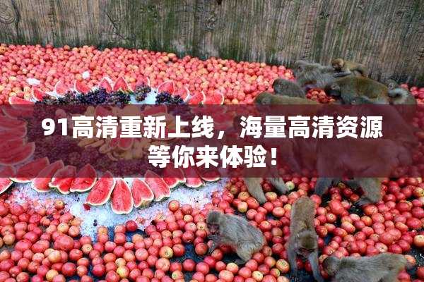 91高清重新上线，海量高清资源等你来体验！