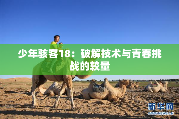 少年骇客18：破解技术与青春挑战的较量