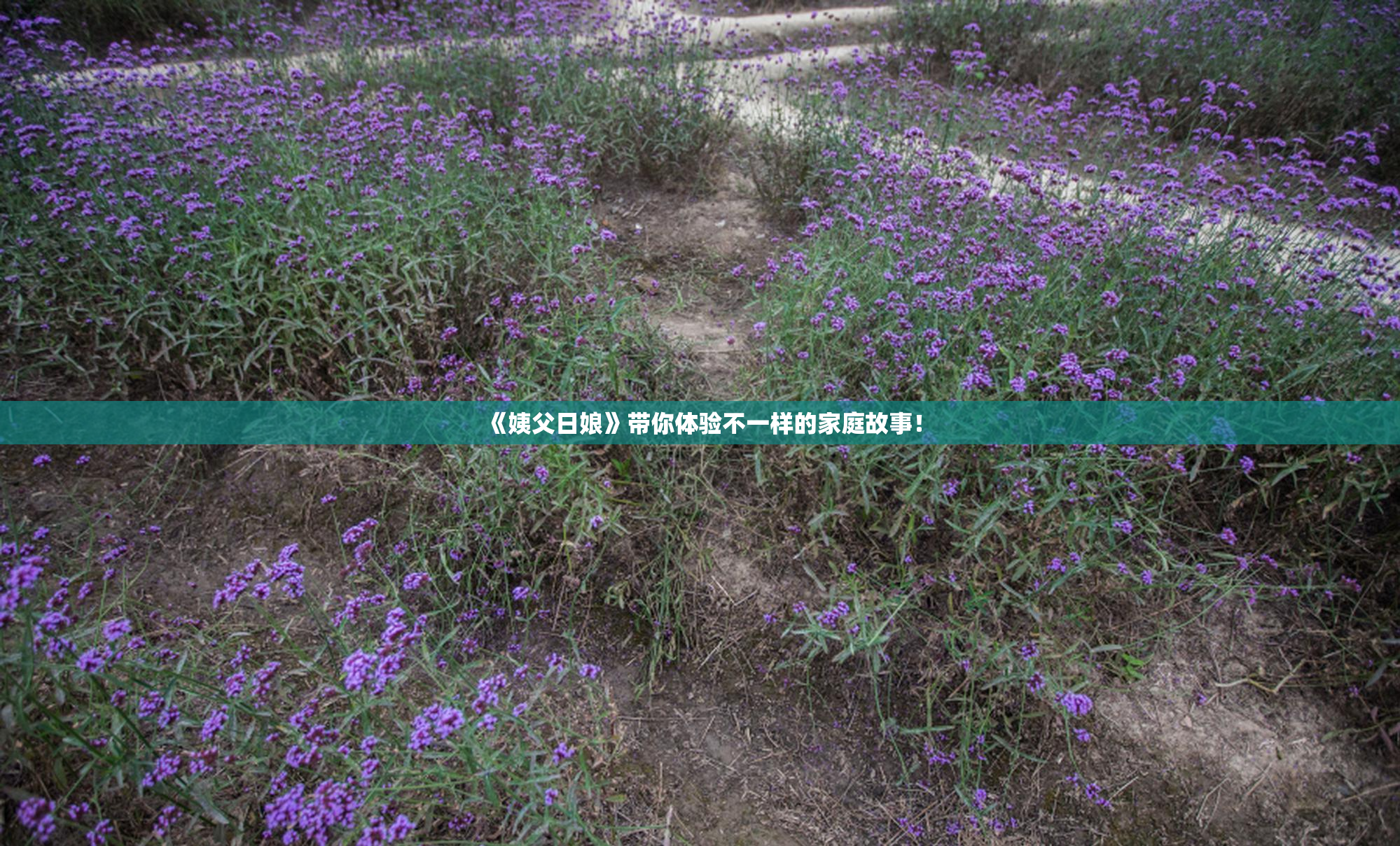 《姨父日娘》带你体验不一样的家庭故事！