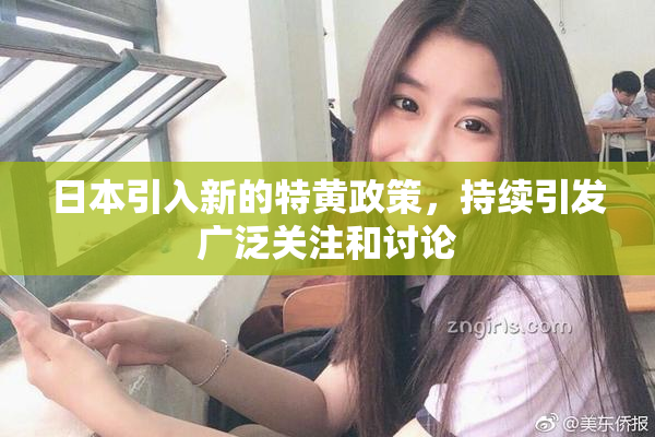 日本引入新的特黄政策，持续引发广泛关注和讨论