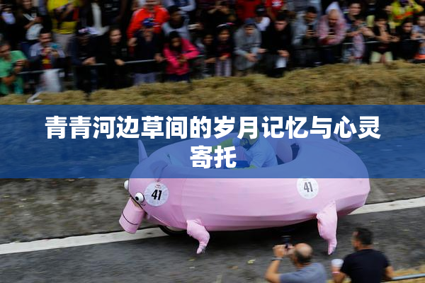 青青河边草间的岁月记忆与心灵寄托