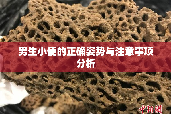 男生小便的正确姿势与注意事项分析