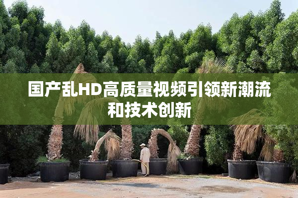 国产乱HD高质量视频引领新潮流和技术创新