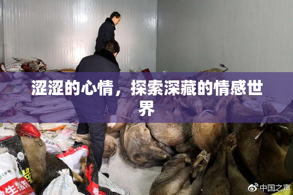 涩涩的心情，探索深藏的情感世界