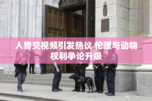 人兽交视频引发热议 伦理与动物权利争论升级