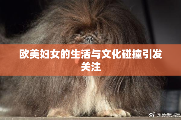 欧美妇女的生活与文化碰撞引发关注