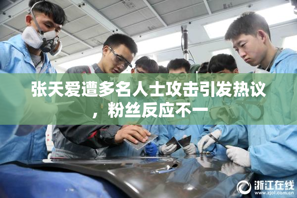 张天爱遭多名人士攻击引发热议，粉丝反应不一