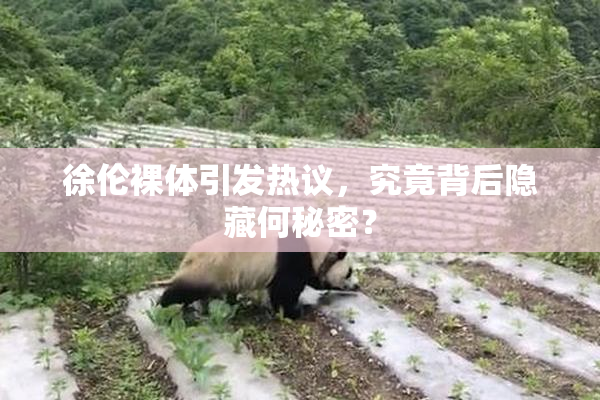 徐伦裸体引发热议，究竟背后隐藏何秘密？