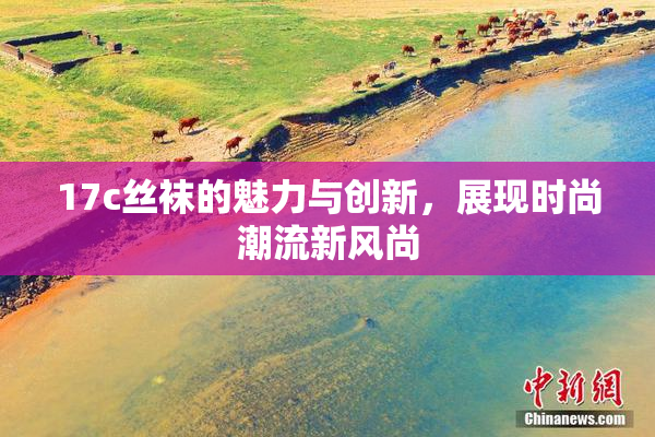 17c丝袜的魅力与创新，展现时尚潮流新风尚