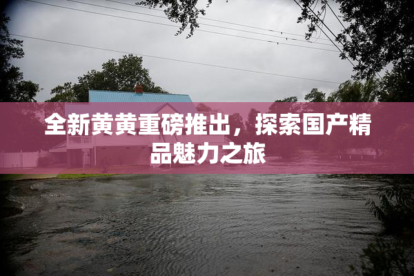 全新黄黄重磅推出，探索国产精品魅力之旅