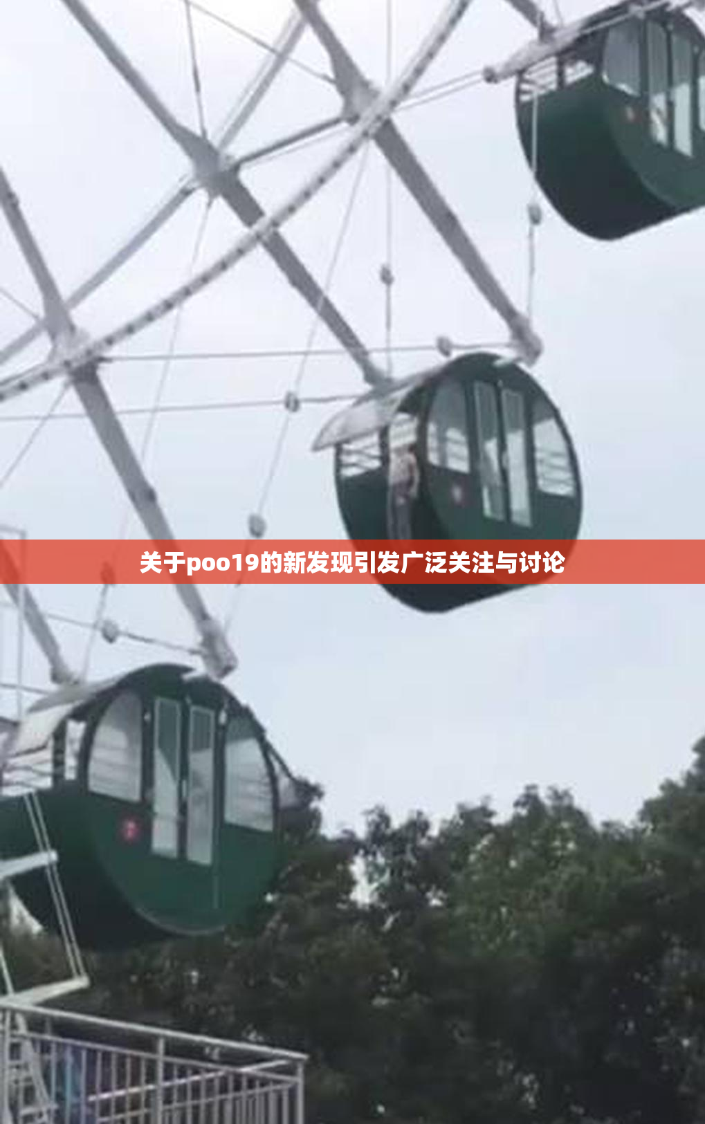 关于poo19的新发现引发广泛关注与讨论