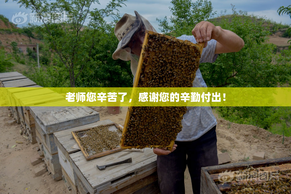 老师您辛苦了，感谢您的辛勤付出！