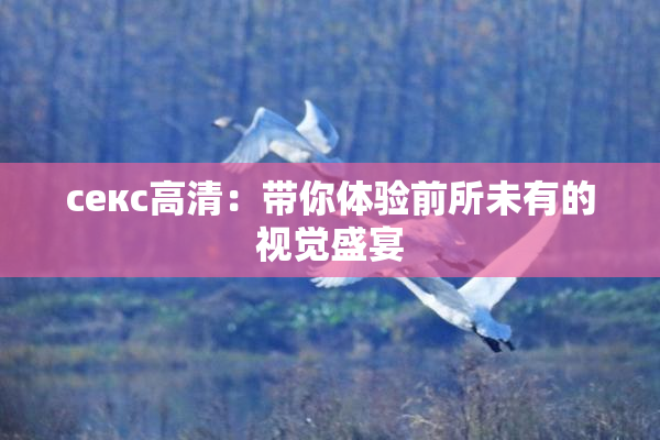 ceкс高清：带你体验前所未有的视觉盛宴