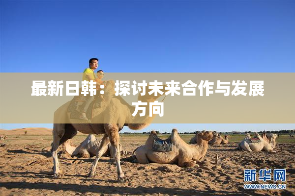 最新日韩：探讨未来合作与发展方向