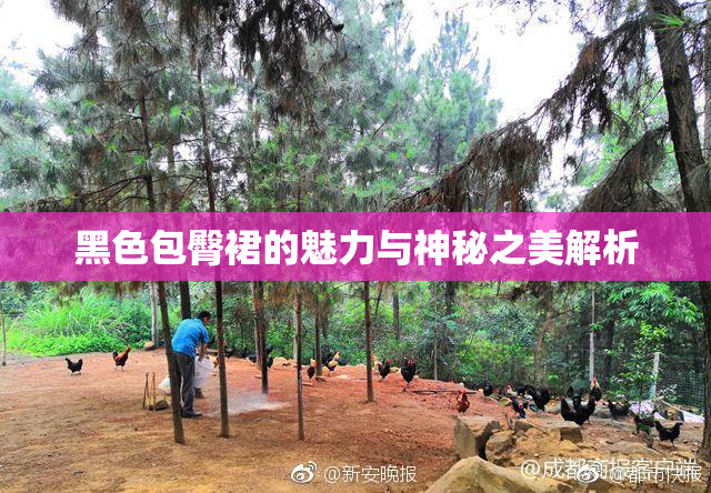 黑色包臀裙的魅力与神秘之美解析