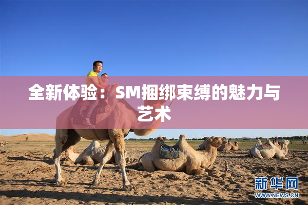 全新体验：SM捆绑束缚的魅力与艺术