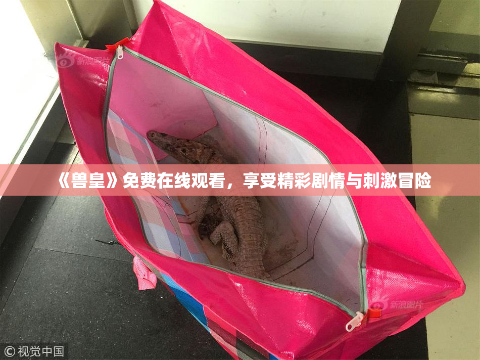 《兽皇》免费在线观看，享受精彩剧情与刺激冒险